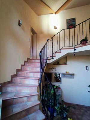 NEUER PREIS! Kurzfristige Übernahme ! Hofreite mit modernisiertem Wohnhaus, Scheune, Nebengebäude