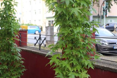 Wohnen und Arbeiten in guter Lage von Altenbochum ab 1. Dezember oder später