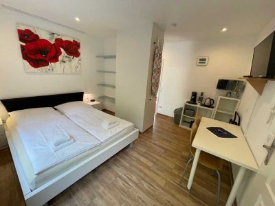 Neu ab Sofort !! Appartement in sehr guter Lage in der Heidelberger Weststadt zu vermieten