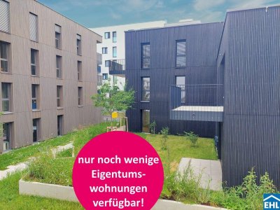 Herzlich willkommen zum Projekt WILDGARTEN