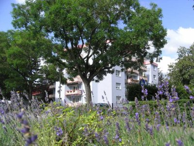 3-Zimmer-Wohnung in Ladenburg