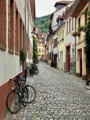 Altstadtjuwel in Heidelberg – Fachwerkensemble-Stadthaus mit Innenhof und Potenzial