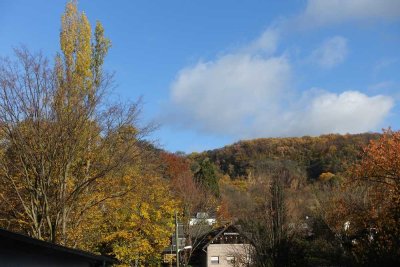 Oberkassel-Mitte, Möbliertappartement