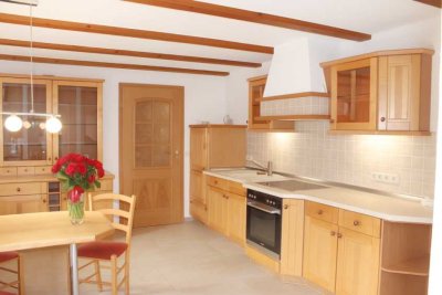 Muschelwitz - 4 RWE KaminTerrasse und Einbauküche