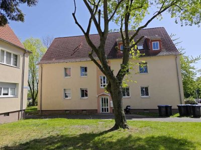 WIR suchen einen NACHMIETER