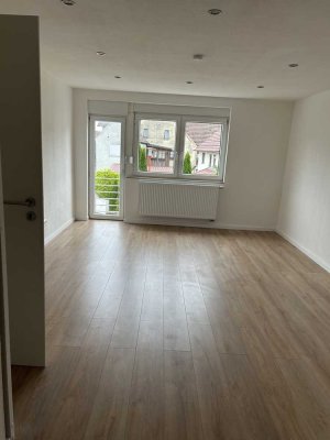 Erstbezug nach Sanierung: freundliche 4-Zimmer-Wohnung mit Einbauküche in Mittelbiberach
