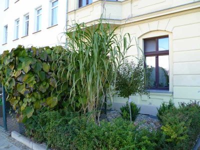 Zeit zum Handeln! Maisonette mit Potenzial.