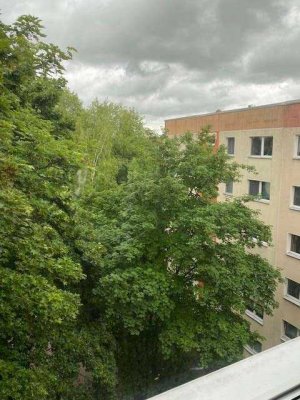 Geräumige 4-Raum-Wohnung mit Westbalkon