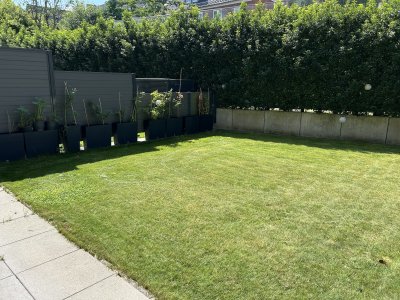 Stephaniviertel 70 qm Hochparterre mit Garten und Tiefgarage