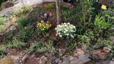 Kamin, Rollstuhlgrerechter Weg im Garten