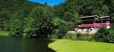 Absolutes Unikat! Haus am See in unvergleichbarer Abgeschiedenheit zu verkaufen! 55 Minuten von Frankfurt/M und 35min. von Mainz und Wiesbaden entfernt!