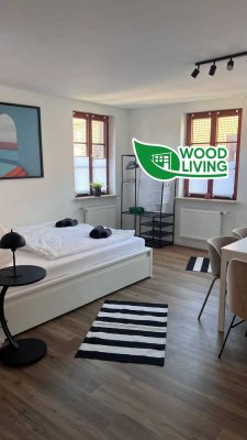 Renovierte 3 Zimmer Wohnung (3)