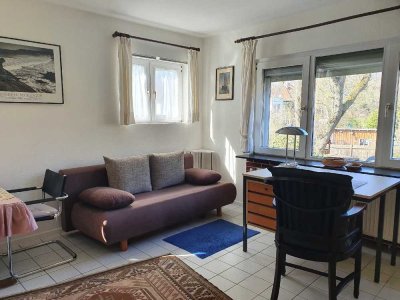***Möbliertes 1-Zimmer-App. bestens geeignet für Pendler in Celle-Hehlentor***