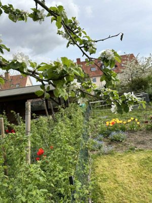 2 Maisonette Zi innerhalb einer WG, brandneu , sofort oder 1.6