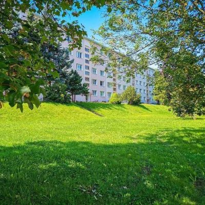 Wir sanieren für Sie!