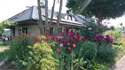 Gepflegte 2-Raum-Wohnung mit Terrasse und Einbauküche in Wertheim