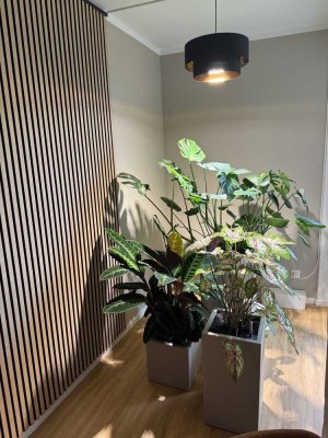 3 Zimmer Neubau am Ryck inkl. Neuer Einbauküche