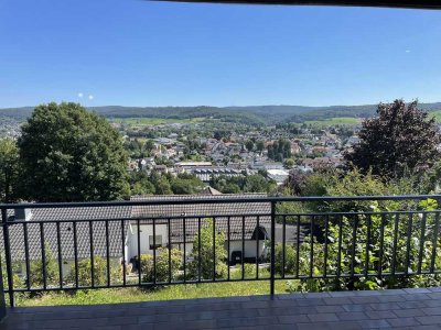 2-Zimmer Panorama-Apartment Erbach Bestlage (Erstbezug nach Sanierung)