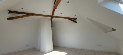 Neu renovierte 3 Zimmer-Altbau-Wohnung mit EBK in der Innenstadt