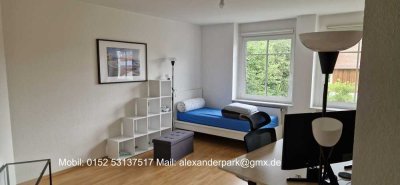 Geschmackvolle 1-Zimmer-Wohnung in Kronberg im Taunus