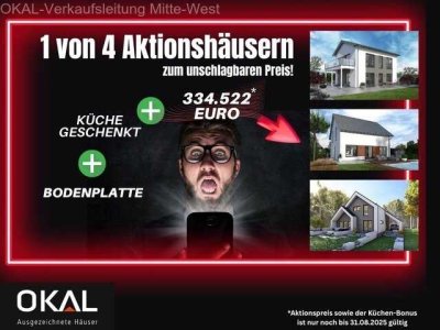 Aktionshaus mit Grundstück