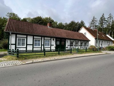 Möblierte Wohnung mit Gartenidylle in Friedrichsruh