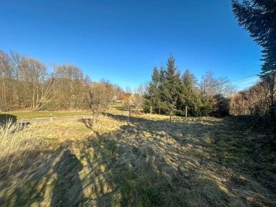 Ein- / Zweifamilienhaus mit großzügigen Nebengelass in Königshain!