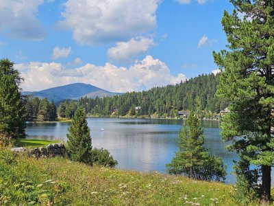 The Austrian Alps - your home away frome home!