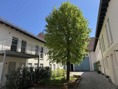 3 Zimmer mit Terrasse - modern, komfortabel und stilvoll