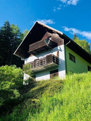 RUHE AM WALDRAND ÜBER DER NEBELGRENZE