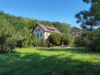 Geräumige, moderne Wohnung inkl. EBK im Grünen. 10 min zur Innenstadt mit Bike