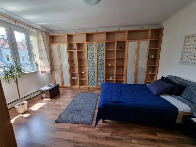 2er WG - Mitbewohnerin gesucht! (13. Bezirk, Wien)