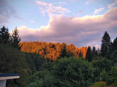 Idyllisch gelegene DHH nache Bad Steben!