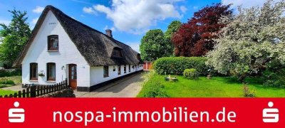 Historische Reetdachkate auf einem über 3.300 m² großem Grundstück mit Bauplatzpotential!