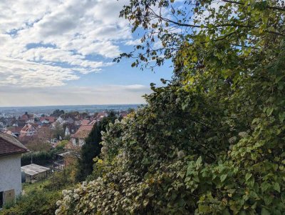 Über den Dächern von Bensheim-Auerbach