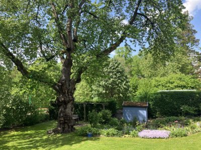 Freundliche und vollständig renovierte 3-Zimmer-Wohnung mit Balkon in Wetter