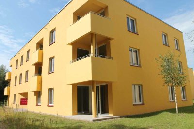 Ruhig wohnen im grünen Quartier am Ryck – 2-Zimmerwohnung in moderner Genossenschaft