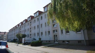 Helle & Freundliche 2-Zimmer-Wohnung in Westeregeln – Jetzt entdecken!