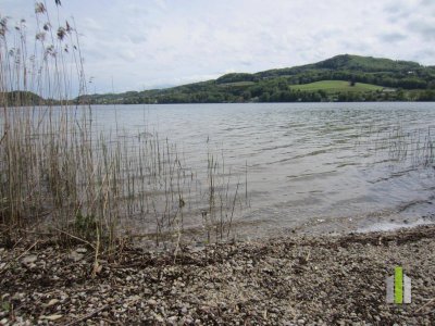 Neuwertige 2-Zimmer-Wohnung mit traumhaftem Seeblick &amp; Seezugang in Seeham