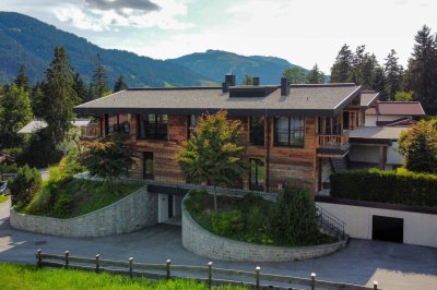 Alpiner Wohntraum in bester Lage in Going ( 06491)