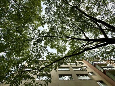 Betreutes Wohnen ab 65 Jahre in der City-West!