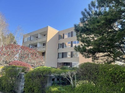 4 Zimmer Wohnung (bezugsfertig!) mit Loggia und Garage in guter Lage in Baden bei Wien