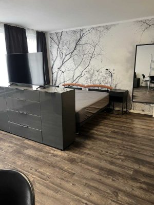 Exklusives vollmöbliertes 1 Zimmer Apartment mit Einbauküche in Darmstadt