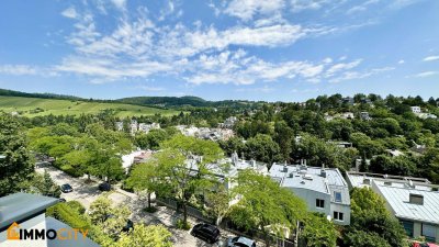 Neuer Preis! Dachtraum 3,5 Zimmer + 96 m² Dachterrasse, luxuriös, Erstklassige Ausstattung in grünem Döbling