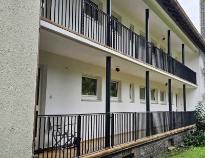 Renovierte 3-Zimmer Wohnung mit Balkon, Einbauküche auf Wunsch