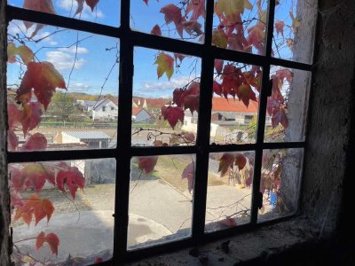 Dachstuhl unausgebaut - exklusive Dachgeschosswohnung möglich - einmalige Gelegenheit