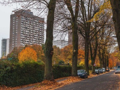 2,5-Raum-Wohnung mit Balkon und Einbauküche * Kaltmiete 900 Euro
