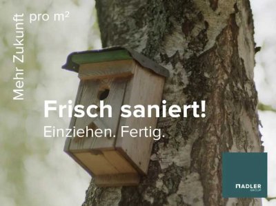 Wird für Sie "Frisch Renoviert" - Tolle 3-Zimmer-EG-Wohnung mit Tageslichtbad auf 61m².