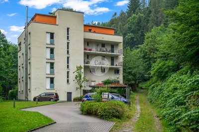 Bezugsfrei: Attraktive 4-Zimmer-Wohnung mit durchdachtem Grundriss in Freiburg-Günterstal