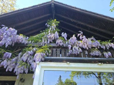 Radolfzell-Mettnau - Freistehendes Einfamilienhaus mit Doppelgarage und großem sonnigen Grund